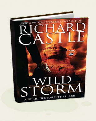 wild storm by richard castle
