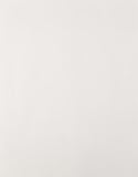 Mead Paper Multi-Purpose Typing Paper, 8-1/2' x 11', White (39100), 100 Sheets