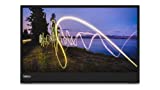 Lenovo ThinkVision M15 15.6' Full HD WLED LCD Monitor - 16:9 - Raven Black