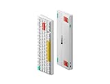 NuPhy Halo65 Mechanical Gaming Keyboard with PBT Keycaps, 65% RGB Hot-swap Wireless Keyboard, Supports Bluetooth、2.4G and Wired Connection，Compatible with Mac and Windows-White(Night Breeze Switch)