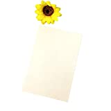 50pcs 5'x7' 250 GSM Ivory Pearl Paper Blank Inner Sheets Printable Invitation Invite for Wedding Birthday