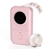 Label Maker Machine, D30 Portable Bluetooth Label Printer with Tape Label Maker Handheld, Multiple Templates Available for Smartphone Easy to Use for Office Home Organization USB Rechargeable