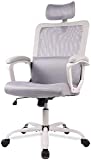 Desk Chair, Ergonomic Mesh Office Chair High Back Computer Chair with Adjustable Headrest,Lumbar Support, Tilt Function,Swivel Rolling, Soft PU Armrest Task Chair Home Office Desk Chairs