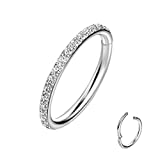 16G Conch Piercing Jewelry 316L Surgical Steel Segment Nose Hoop Ring CZ Paved Segment Helix Piercing Jewelry Earring Rook Ring Nose Piercing Jewelry Silver Earrings Seamless Clicker 16 Gauge Rings