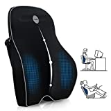 Villsure Lumbar Support Pillow, Memory Foam Back Cushion Pillow for Office Chair,Computer/Car Seat and Wheelchair with Breathable 3D Mesh ,Ergonomic Orthopedic Backrest for Back Pain Relief