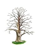 11x14 Fingerprint Tree Poster // Wedding Fingerprint Guest Book Poster Alternative // Baby Shower Fingerprint // Art Watercolor