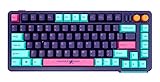 Shurikey Saizo 75% Wireless Wired Mechanical Keyboard Compact 80% Gaming Keyboard Retro Arcade Game ABS Doule Shot keycaps- Theme 003 (Varmilo EC V2 Rose Switch)