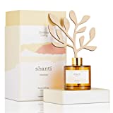 Zentosa Living Reed Diffusers for Home 6.7oz | Cedarwood Fragrance Oil | Reed Diffuser Set with Sticks & Bottle | Scent Diffuser 4 Months Aromatherapy | Ideal Gift Mother's Day | Living Room Bathroom