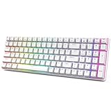 RK ROYAL KLUDGE RK100 2.4G Wireless/Bluetooth/Wired RGB Mechanical Keyboard, 100 Keys 3 Modes Connectable Hot Swappable White Switch Gaming Keyboard for Win/Mac