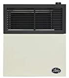 Ashley Hearth DVAG11N 11,000 BTU Direct Vent Natural Gas Heater, Cream