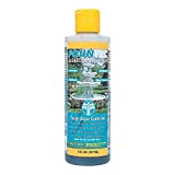 EasyCare FounTec Algaecide and Clarifier, 8 oz. Bottle