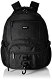 Amazon Basics Multi-Compartment Backpack with Top Handle and Padded Shoulder Straps, Fits up to 15-Inch Laptop - Black