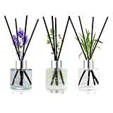 3 Pack Fragrance Reed Diffuser, 50ML Lavender Jasmine Lemongrass Aromatherapy Diffuser Set with 12 Black Fiber Sticks,Air Freshener for Bedroom Bathroom Office, 8.2X 6.6X 2.1 inch