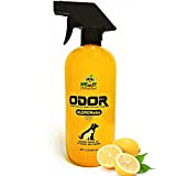 Lots of Lemon - Pet Odor Eliminator for Home - Citrus Infused Natural Enzyme blend for Dog & Cat Pee Smells & Urine Stains on Carpet, Furniture, Floors & Litter Box - Pet Supplies