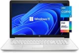 HP Notebook Professional Laptop, 17.3 Inches, Windows 11 Home, Natural Silver, 32GB RAM | 1TB PCIe SSD
