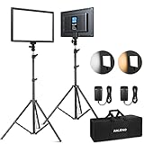 RALENO 2 Packs LED Video Light and 75inches Stand Lighting Kit Include: 3200K-5600K CRI95+ Built-in Battery with 1 Handbag 2 Light Stands for Gaming,Streaming,Youtube,Web Conference,Studio Photography