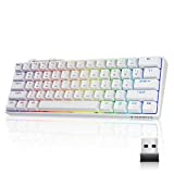 Tezarre TK61Pro Bluetooth/2.4G/USB 60% Mechanical Gaming Keyboard RGB Hotswappable PBT Keycaps Wireless/Wired Keyboard for Windows PC Gamer (Gateron Optical Blue)
