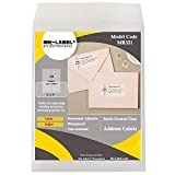 Mr-Label 2' x 4' Glossy Frosted Clear Address Labels - Waterproof and Tear-Resistant - for Inkjet & Laser Printer - Permanent Adhesive - for Frosted Glass | Envelope (100 Labels)