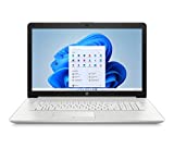 HP 17 Laptop PC, 11 Generation Intel Core, 4 GB RAM, 256 GB SSD, UHD Graphics, 17.3' HD+ Display, Windows 11 Home, Wi-Fi & Bluetooth Combo, 7 Ports, Long Battery Life, HD Webcam (17-by4025nr, 2022)
