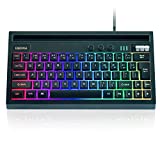 60% Wired Gaming Keyboard, RGB Backlit Mini Keyboard Stand Design, Waterproof Mini Compact 63 Keys Keyboard for PC/Mac Gamer, Typist, Travel, Easy to Carry on Business Trip(Black)