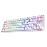 LTC NB681 Nimbleback Wired 65% Mechanical Keyboard, RGB Backlit Ultra-Compact 68 Keys Gaming Keyboard with Hot-Swappable Switch and Stand-Alone Arrow/Control Keys (Hot Swappable Blue Switch, White)