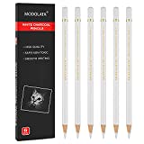 White Charcoal Pencils for Artist, Set of 6 White Drawing Pencil for Illustration,Shading, Blending,Sketching, Black Paper