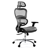 Ergonomic Office Chair, High Back Mesh Office Chair with 3D Armrests and Headrest, Adjustable Rolling Chair with Lumbar Support and Tilt Function, Breathable Mesh Chair for Gaming, Executive, Office