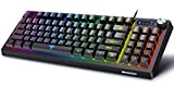 BENGOO Gaming Keyboard, RGB LED Rainbow Backlit Small Wired Keyboard with 89 Keys and Multimedia Shortcus,Mechanical Feeling Keyboard with 25 Anti-ghosting Keys for Computer Gamer PC Mac