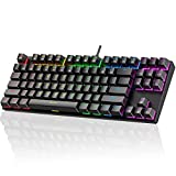 TKL Mechanical Gaming Keyboard, Dacoity RGB LED Rainbow Backlit 60% Keyboard with Blue Switches, 27 LED Lighting Modes, 100% Anti-Ghosting, 87 Keys Wired Tenkeyless Keyboard for Windows PC MAC Games