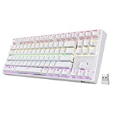 RK ROYAL KLUDGE RK87 Sink87G RGB 80% Mechanical Keyboard, Wireless 2.4G Tenkeyless Mechanical Keyboard with Programmable Software, 87 Keys, Tactile Brown Switches
