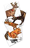 Umarex Replacement BB Gun and Pellet Gun Paper Targets (Pack of 100)