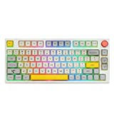 EPOMAKER Theory TH80 75% Hot Swappable RGB 2.4Ghz/Bluetooth 5.0/Wired Mechanical Gaming Keyboard with MDA PBT Keycaps, Large Capacity Battery, Knob Control for Windows/Mac