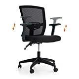 PHI VILLA Office Chair with High Back,Home Office Desk Chairs with Wheels and Armrest for Women,Men,Short People and Heavy People,Max Laod Bearing up to 250 lbs