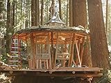 Mushroom House