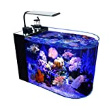 GankPike 12 Gallon Saltwater Aquarium Full Bullnose Shape Low Iron Aquarium Ultra Clear Glass Marine Fish Tank Reef Tank with Lid, Protein Skimmer, LED Light, Heater, LCD Digital Thermometer and Pump