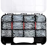 HongWay 1500pcs Hardware Nails Assortment Kit, Galvanized Nail, Assorted 12 Sizes Wire and Common Brad Nails Flat Nails Finishing Nails Wall Nails for Pictures Hanging Woodworking