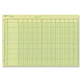 NATIONAL Analysis Pad, 13 Columns, Green Paper, 11 x 16.375', 50 Sheets (45613)
