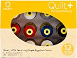 Coats & Clark Piecing Basics Quilting Thread