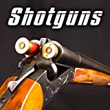 12 Gauge Shotgun Pumped 2