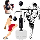 Multifunctional Boxing Gym Equipment,360 Spinning Bar with Dual Punching Balls,Training Reaction Speed Coordination for Kids and Adults Home Boxing Training,Black(Base Not Included)