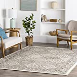 nuLOOM Becca Vintage Tile Area Rug, 8 ft x 10 ft, Beige