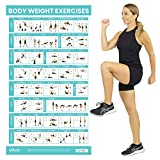 Vive Body Weight Workout Poster - Bodyweight Exercises For Home Gym - Laminated Hitt Chart For Abs, Glute, Core, Legs, Arms, Back - No Equipment Needed - Large Cardio Board For Women, Men, Inspiration