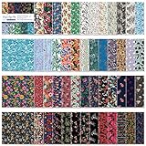qianshan Origami Paper Kit 50 Sheets 6 Inch Square Double Sided Color 50 Vivid Japanese Chiyo Colors for Hand Crafts Origami Paper Arts Creativity Flowers