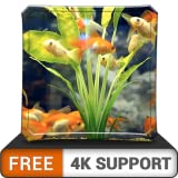 FREE Happy Aquarium HD - Decorate your room with beautiful sea life aquarium on your HDR 4K TV, 8K TV and Fire Devices as a wallpaper, Decoration for Christmas Holidays, Theme for Mediation & Peace